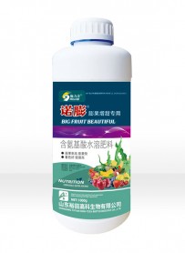诺膨
