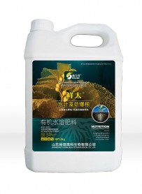 泡叶藻劲爆根