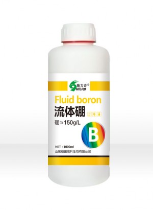流体硼