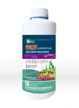 诺膨
