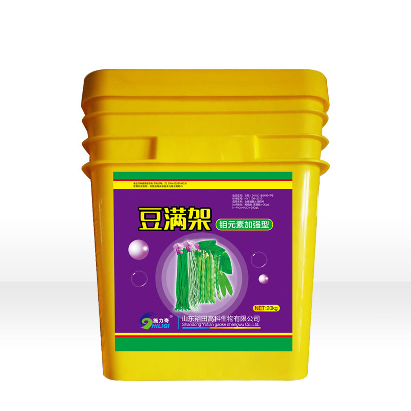 豆满架