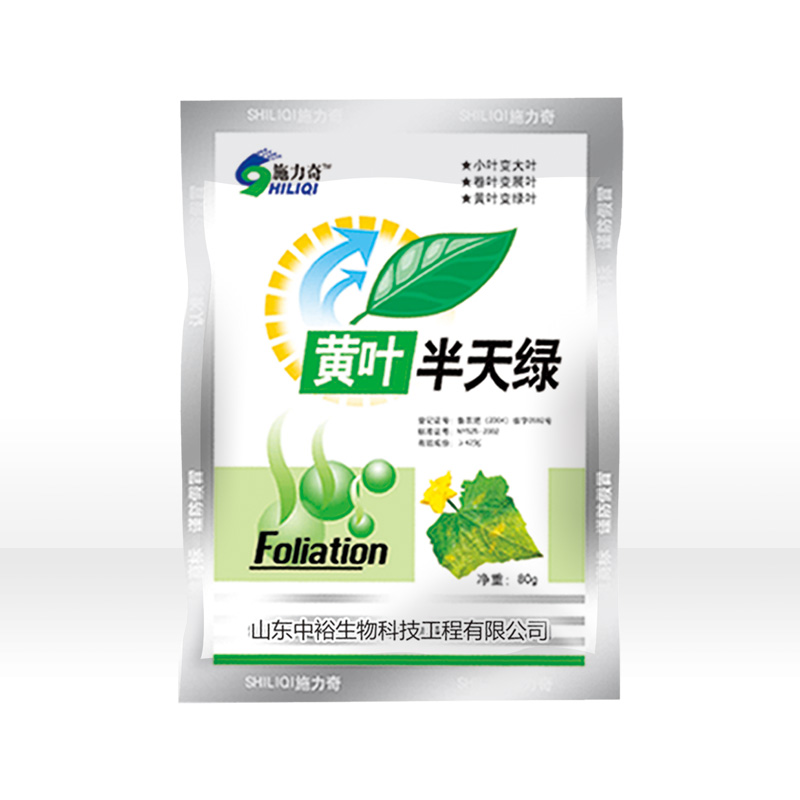 黄叶半天绿
