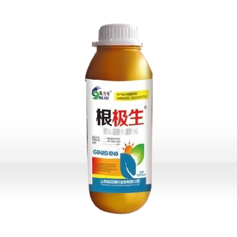 根极生