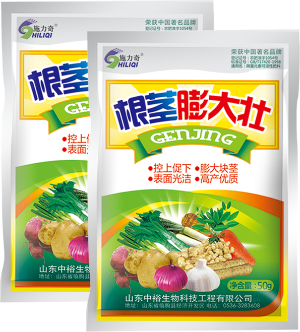 根茎膨大壮