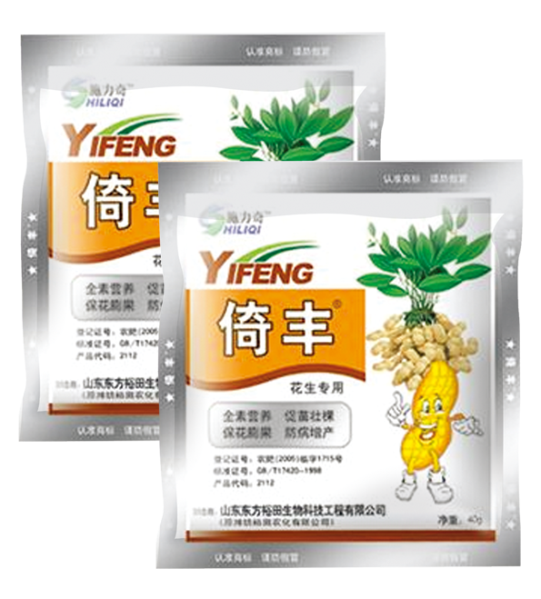 倚丰