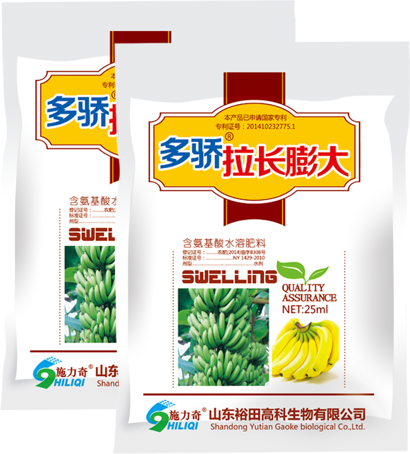 多骄拉长膨大