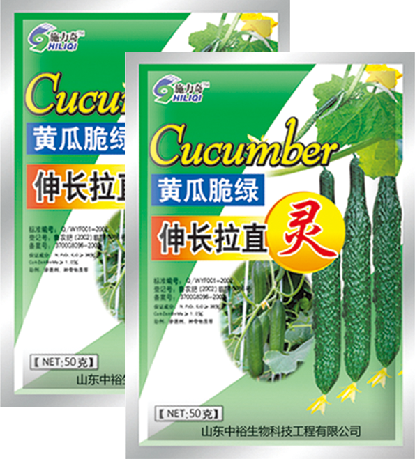黄瓜脆绿伸长拉直灵