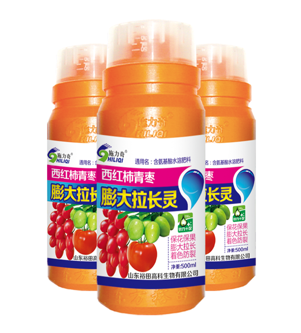 西红柿青枣膨大拉长灵