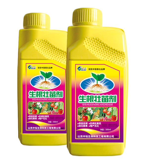 生根壮苗剂