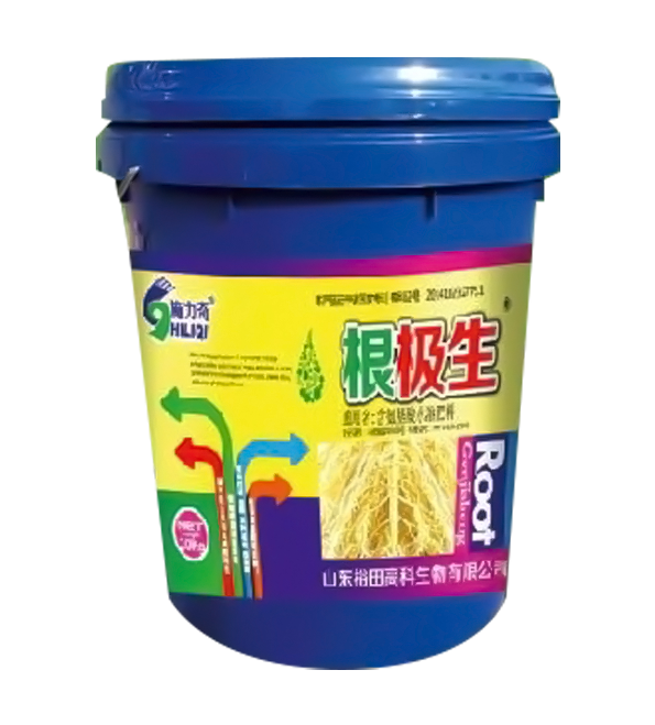 根极生