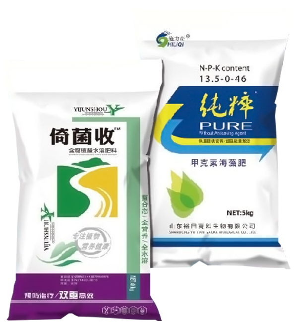 倚菌收 纯粹