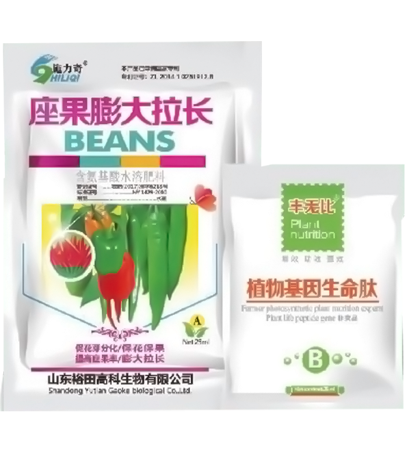 座果膨大拉长