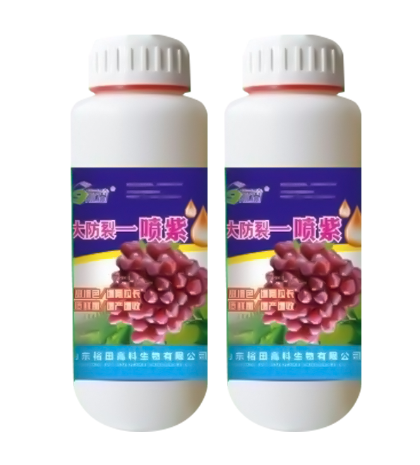 膨大防裂一喷紫