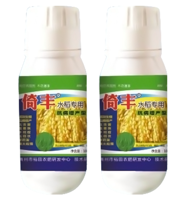 倚丰