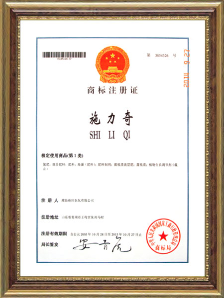 商标注册证--施力奇